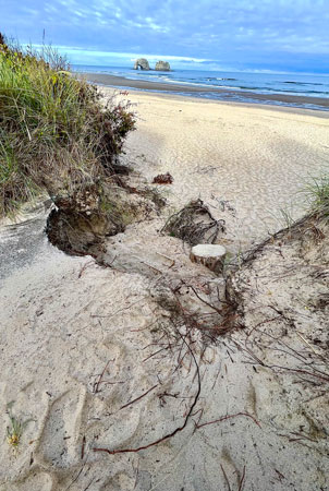 A steep pathway down to the beach from Twin Rocks Turnaround Park. Be careful, it is easy to slip on the sand.