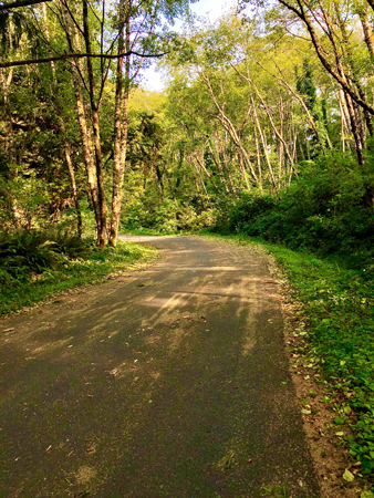 The roads at Ecola State Park are hilly.