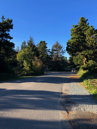 This road leads the way through Barview Jetty Park. You will not get lost.