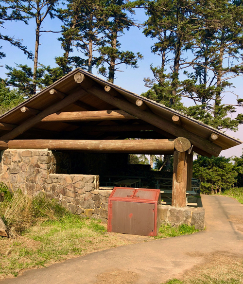 Ecola State Park has a nice covered area for picnics.