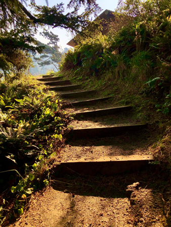 Steps leading up to the covered structure at Ecola State Park from the rest rooms below.