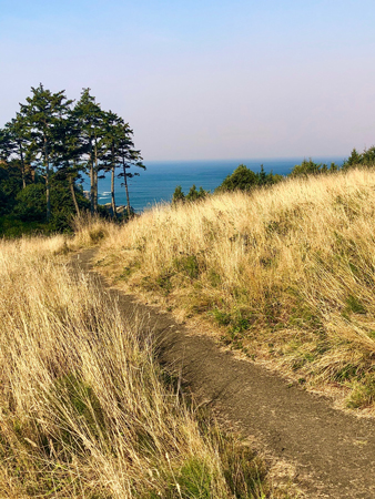 Trail to Pacific Ocean at Ecola State Park in Cannon Beach Oregon.