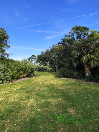 There is a large grassy area in Fred Held South Pasadena Habitat that is used for yoga, Tai Chi,and interval training.