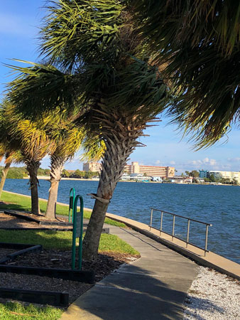 Looking out into Boca Ciega Bay from Fred Held South Pasadena Habitat.