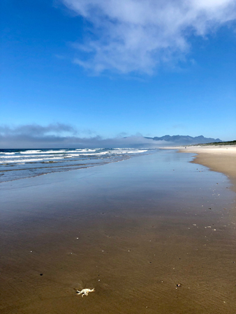 The beach is deserted and peaceful in the mornings. An easy place to walk and give thanks. Rockaway Beach Oregon.