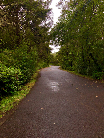 The road from Beach Drive leading to the parking lot at Manhattan Beach State Park.