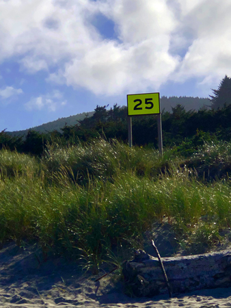 The 25 marker denotes a path which will take you right to the restrooms at Manhattan Beach State Park.