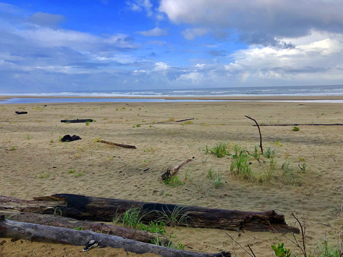 View of the Bach from the south end of Manhattan Beach State Park.