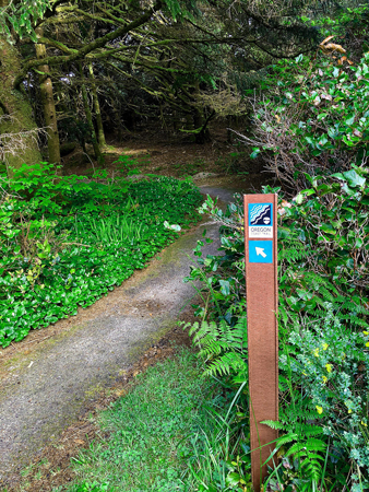 A guidepost marker letting you know this trail leads right out to the Pacific Ocean.