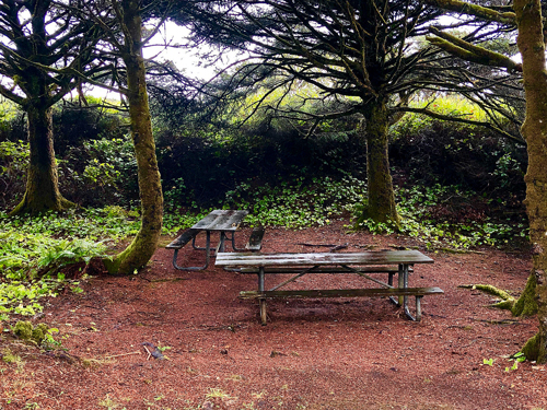 Manhattan Beach State Park has several specific areas with picnic tables.