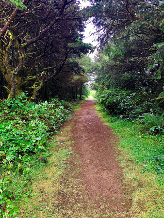 Path to beach from the parking lot at Manhattan Beach State Park.