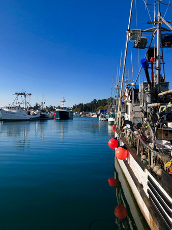 Looking west in Newport Harbor Oregon.