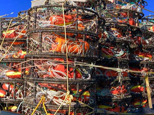 Colorful crab traps in Newport Harbor.