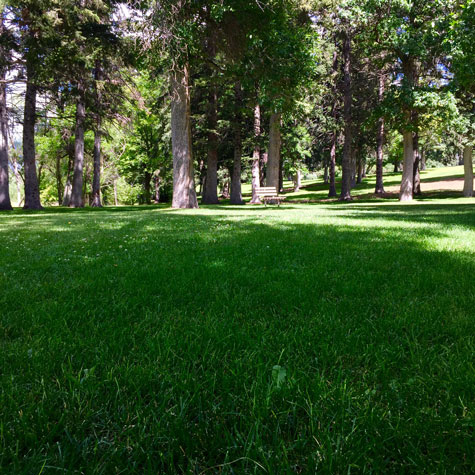 Lindley Park has beautifully manicured lawns.