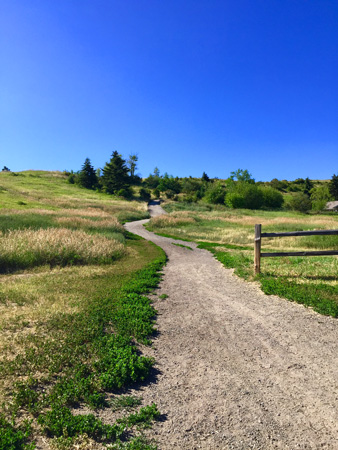 A quiet morning on Peet's Hill begins with this gentle path to the top.