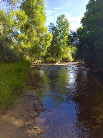 Clear Creek alongside of Clear Creek Trail, in Buffalo WY.