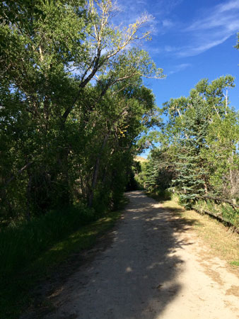 Clear Creek Trail. This is where I ran 800m intervals on Day 5 of my trip to Bozeman MT.