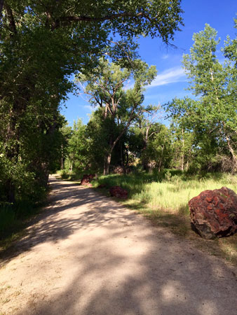 Clear Creek Trail in Buffalo Wy. This is a shortcut from my motel to downtown. Notice the scoria rock boulder.