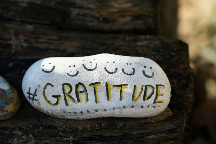 A painted rock signifying the awareness of micro-gratitudes.