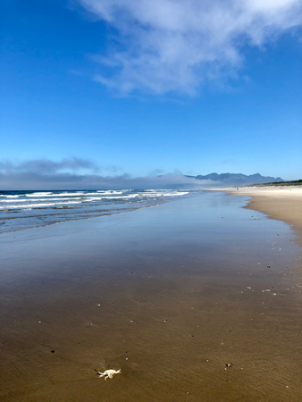 Blue has been scientifically proven as a calming color. Looking at the ocean can change your brain waves on a beach walk.