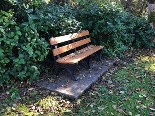 This bench is on the east side of Manzanita City Park.