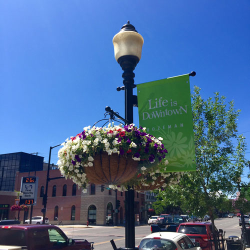 A morning in Bozeman Montana is enhanced by the beautiful flower boxes on every street light along Main Street.