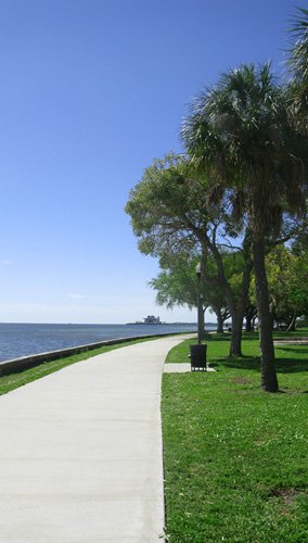 Looking south along the waterfront park walkway. A beautiful day to be a snowbird in St Pete.