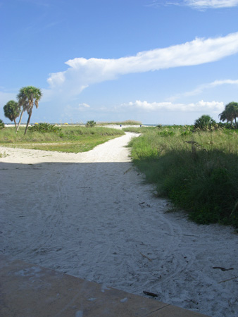 The north end of the Treasure Island Beachtrail has a well-used path down to the ocean. The north end of the Treasure Island Beach Trail has a well-used path down to the ocean.